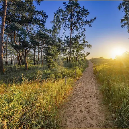 Waldsiedlung Waldhaus App 4.1