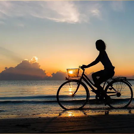 Апартаменты Waldsiedlung Waldhaus App 4.1 *